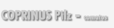 Coprinus